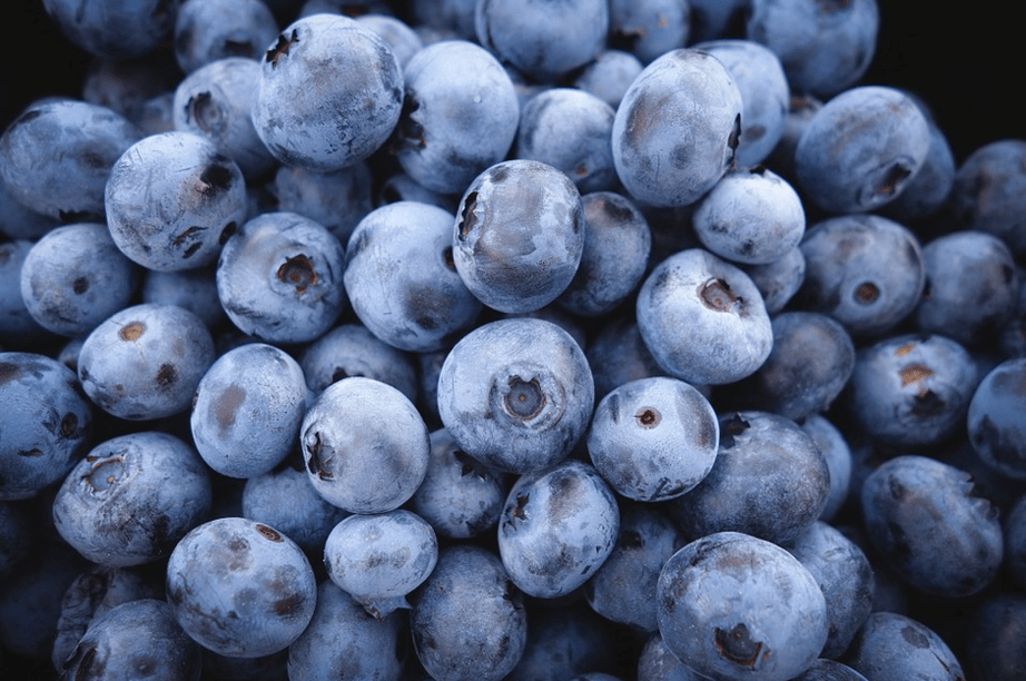 blueberry untuk menjaga awet muda